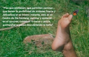 imagen_programa_fontana
