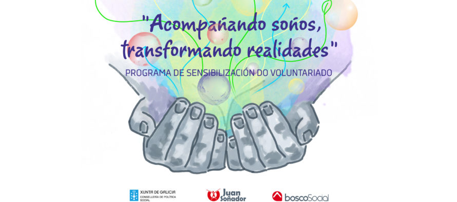 Infografía voluntariado Lugo